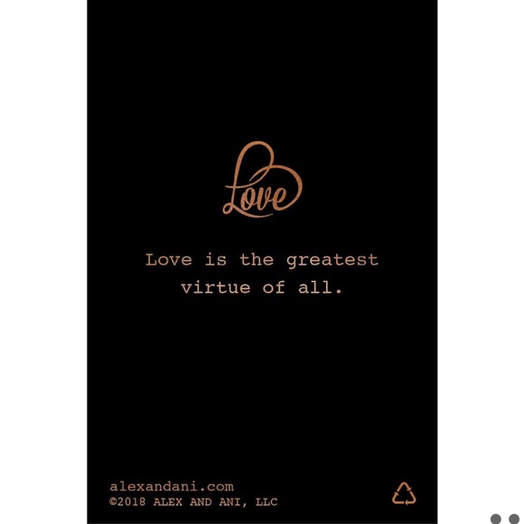 Alex And Ani LOVE💖 Drop Earrings - Picture 5 of 7